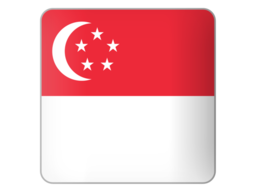 sgflag